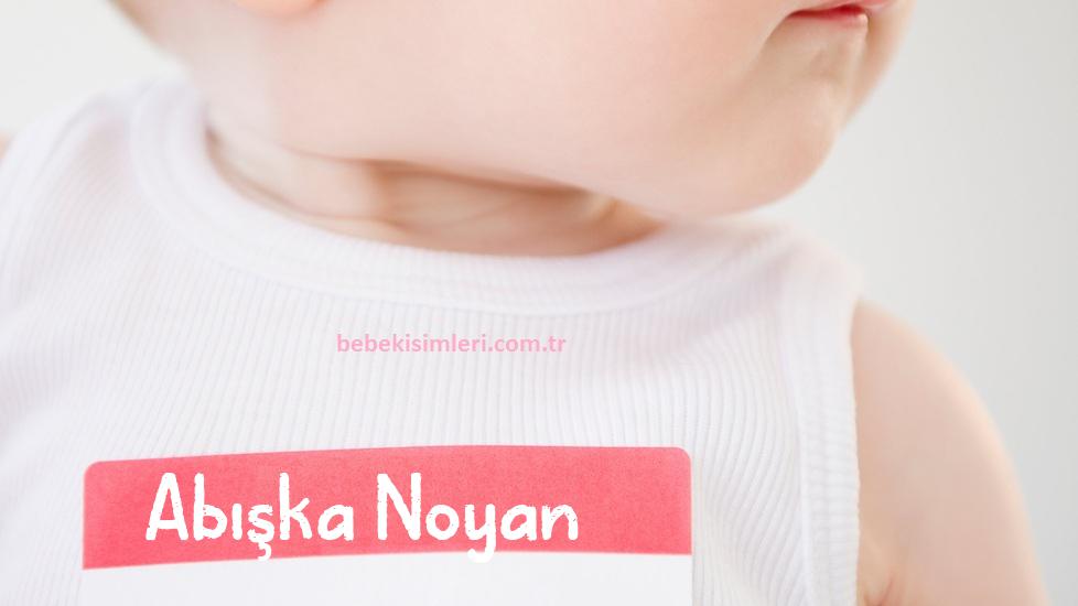 Abışka Noyan İsminin Anlamı Nedir?